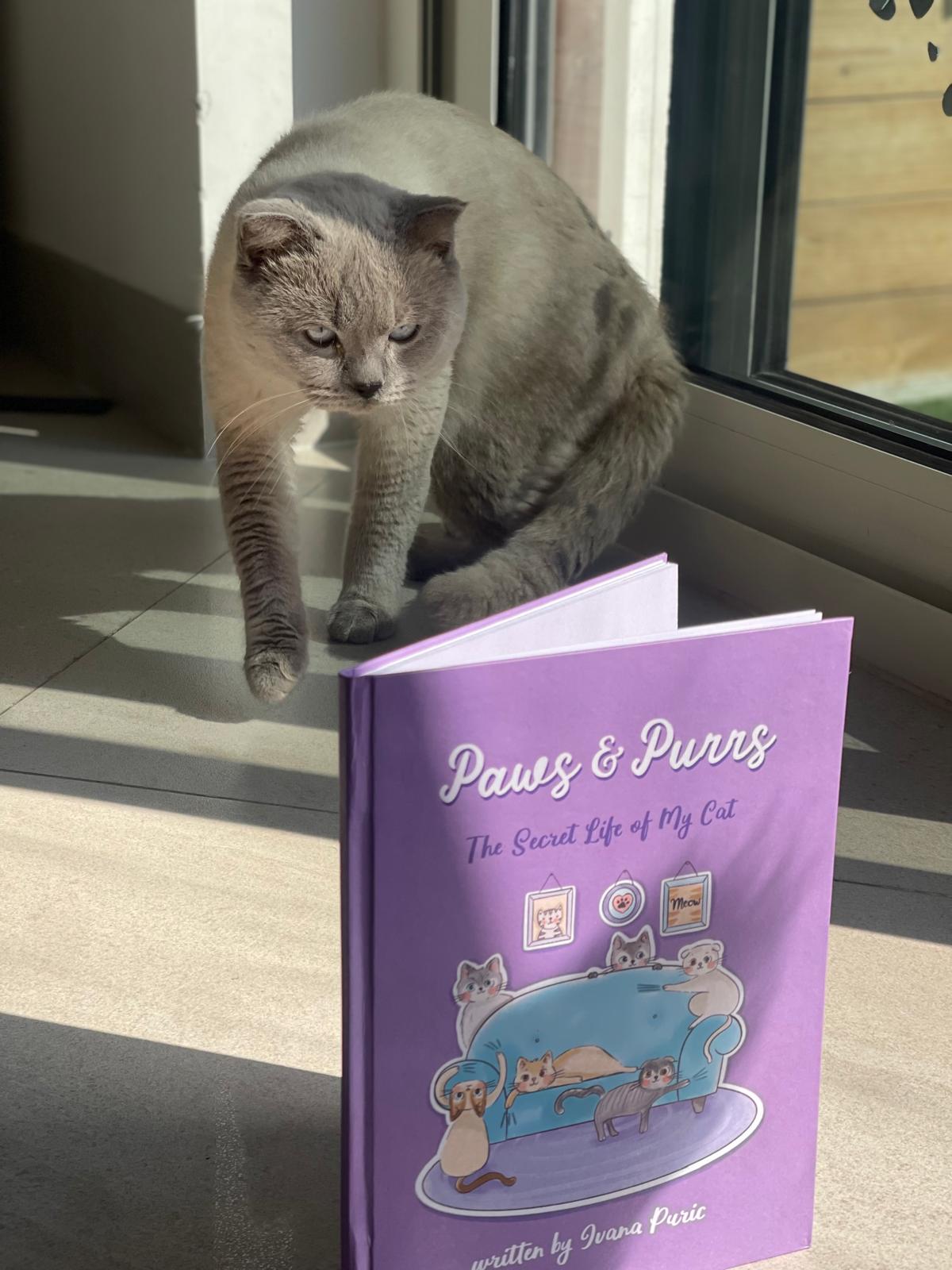 Paws & Purrs